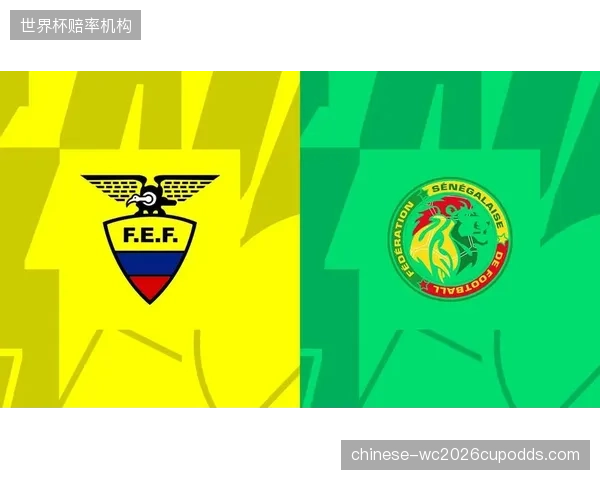 球队阵容年龄梯队分布均衡，凯塞多、因卡皮耶和瓦伦西亚构成坚固中轴线。